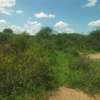 60 Prime Acres For Sale in Makindu at 350k Per Acre thumb 3