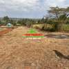 0.05 ha Residential Land at Migumoini thumb 12