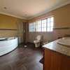 4 Bed House with En Suite in Spring Valley thumb 10
