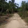 land for sale in vipingo thumb 5