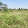 23,796 m² Commercial Land at Nyasa Road thumb 4