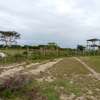 1 Acre Land For Sale in Elementaita , near Kikopey thumb 4