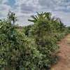 10 acres along Makindu-Wote Road Makindu Makueni County thumb 2
