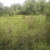 Stunning Quarter Acre Plots in Ngong thumb 4