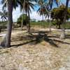 20-Acre Beach Plot For Sale in Kikambala thumb 5