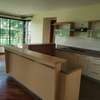 4 Bed Townhouse with En Suite at Gigiri And Muthaiga thumb 8