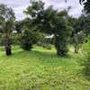 Residential Land in Vipingo thumb 4