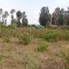 Kenol 40*80ft commercial plots for sale in Muranga county thumb 2