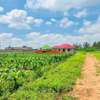 0.05 ha Residential Land at Kamangu thumb 7
