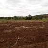 100 Acres For Lease in Mbeere South Kirinyaga thumb 1