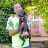 Labrador retriever puppies thumb 4