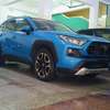 Toyota Rav4 Blue 2019 Sunroof thumb 0