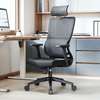 Office Chair; Modern Top Style Orthopedic High Back Chair thumb 0
