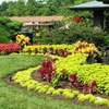 Expert Landscaping & Gardening Services  for Estate & Individual Homes thumb 6