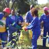 Domestic Cleaning Services,Kileleshwa,Syokimau,Loresho thumb 14