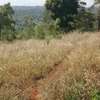 Itabua Nduba 1acre thumb 0