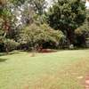 3 Bed House with En Suite at Kitisuru Estate. thumb 23