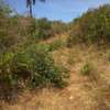 17 Acres in Malindi Gede Is Available For Sale thumb 0