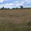 Plots for sale in Konza city thumb 6