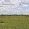 1/8 Acre Land For Sale in Kitengela , Korompoi Area thumb 1