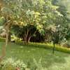 5 Bed House with En Suite in Nyari thumb 20