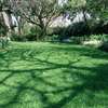 Best 15 Landscape Gardeners in Nairobi | Bestcare Gardeners thumb 12
