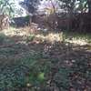 Very Spacious 6 BR House plus Sqs in Ngong thumb 12
