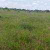 Affordable plots for sale at isinya kajiado county thumb 7