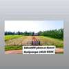 50X100ft PLOTS FOR SALE AT KENOL KATIPANGA thumb 1