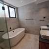 Furnished 3 Bed Apartment with En Suite in Spring Valley thumb 8