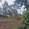 0.173 ac Residential Land at Ngong thumb 4