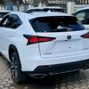 2019 LEXUS NX300 thumb 14