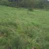 Beautiful one eighth plots in Ngong thumb 4