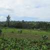 3.25 Acres Of Land For Sale in Ruku/Wangige thumb 0
