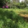 0.125 ac Residential Land in Thika Road thumb 2