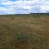Plots for sale in Konza City thumb 4