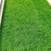 best grass carpet thumb 0