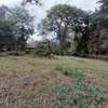0.13 ac Land at Langata Road thumb 10