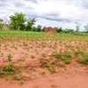 100 by 100 ft plot in Omega Estate Kibwezi Makueni County thumb 0
