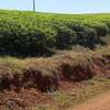 10 ac Land at Kiambu-Limuru Road thumb 12