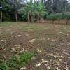 40*80ft plots for sale at Makuyu near Makuyu Teachers c thumb 1