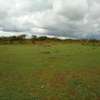 7.1 Acres of Land For Sale in Thika thumb 8