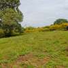 0.5 ac Land at Kijani Ridge thumb 0