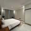 Furnished 3 Bed Apartment with En Suite in Spring Valley thumb 9