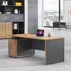 Office Desk; 1.4M  Executive Office Desk in Suneka thumb 3