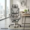 Full Mesh Ergonomic Chair thumb 4