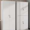 Cabinets : 2 Door Metallic Office Cabinet thumb 6
