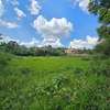 Residential Land in Runda thumb 5