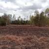 1/4 acre for sale in kamulu thumb 0