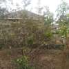 0.25 ac Residential Land in Ngong thumb 4